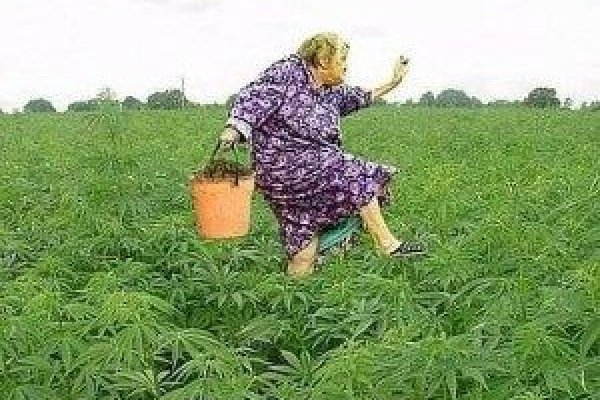 Даркнет официальный сайт на русском