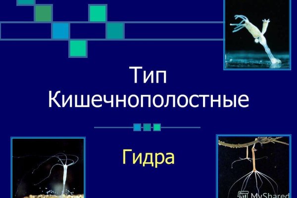 Ссылка на кракен свежая