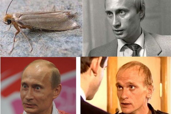 Кракен какой сайт