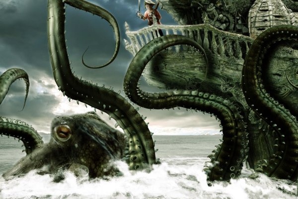 Kraken 20at net
