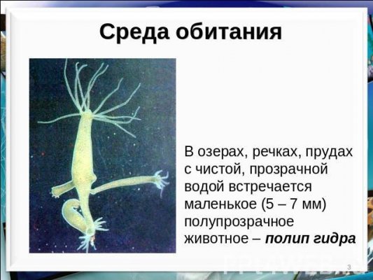 Кракен ссылка на тор официальная онион