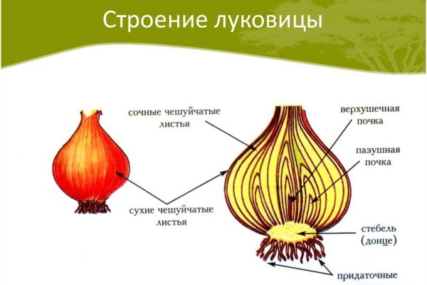 Регистрация на кракен