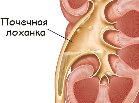 Ссылка кракен сегодня